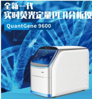 av影片直播