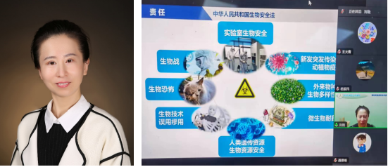 av影片直播