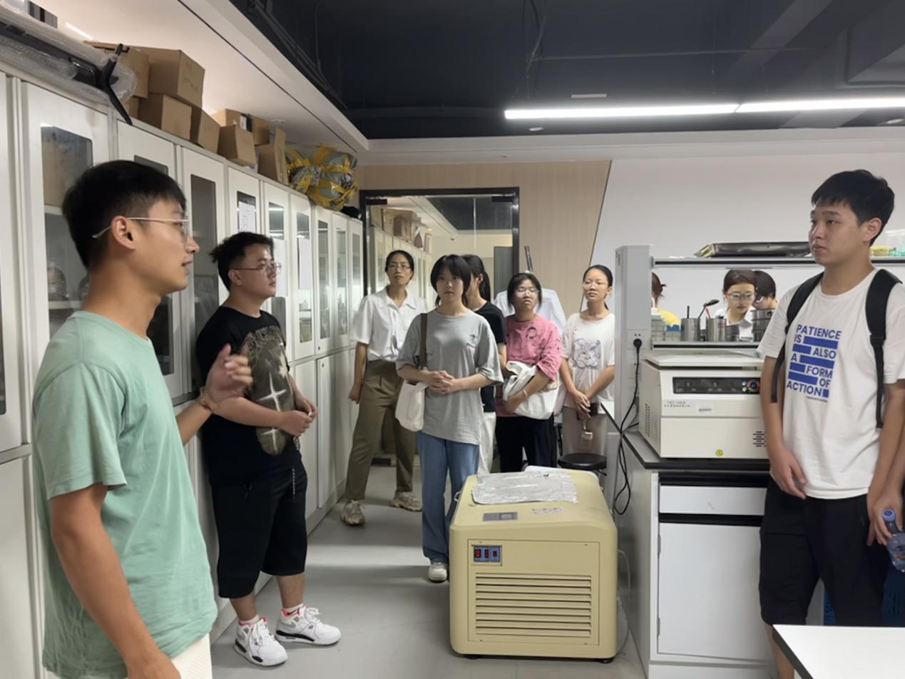 av影片直播